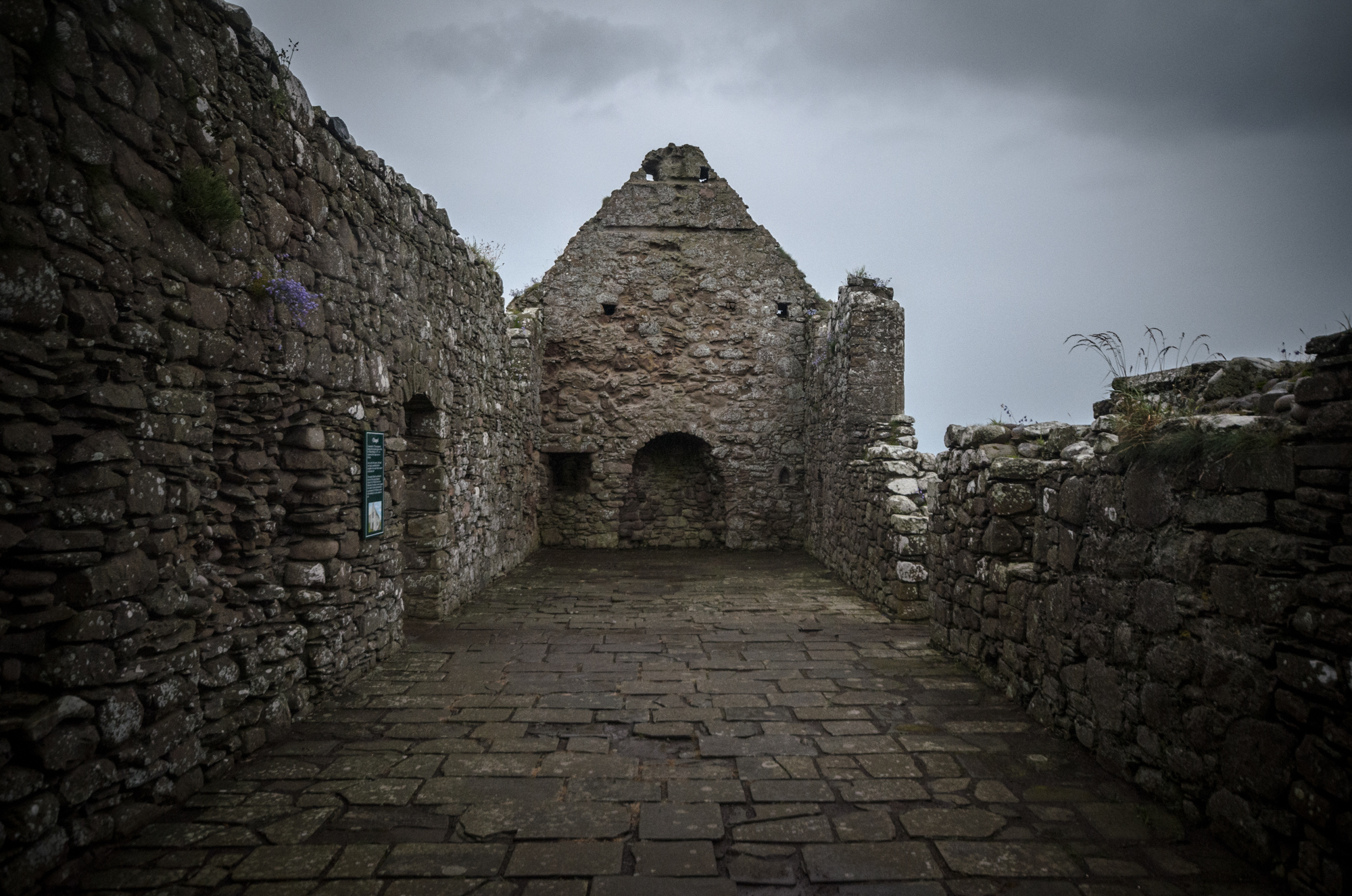 Ecosse17   0106