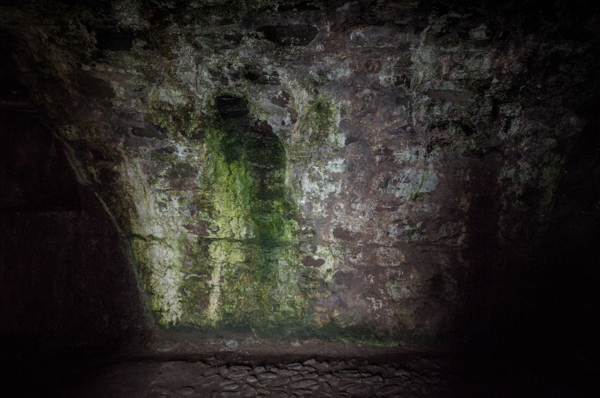 Ecosse17   0115