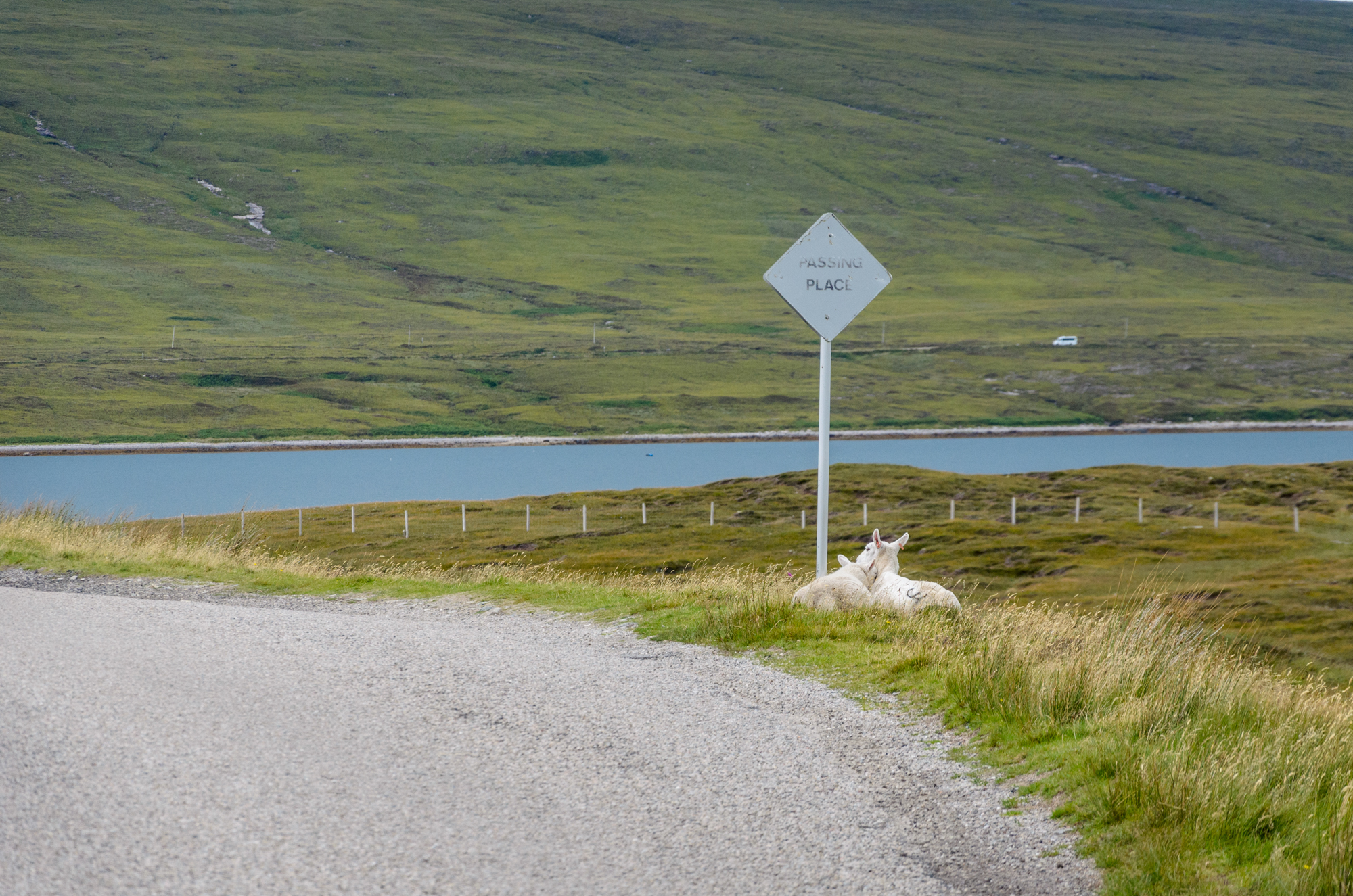 Ecosse17   0406